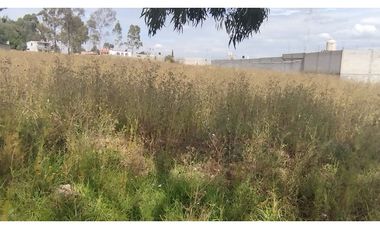LOTES  EN VENTA EN ACUITLAPILCO, TLAXCALA