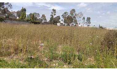 LOTES  EN VENTA EN ACUITLAPILCO, TLAXCALA