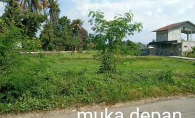 Tanah Dijual Dekat IPB Dramaga Bogor, RS Medika Dramaga
