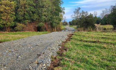OPORTUNIDAD Parcela en Lago Ranco muy cercana a Osorno