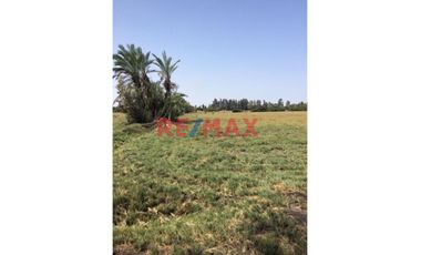 Se Vende Lindo Terreno En San Andres                                          Dos Hectareas                               Provincia De Pisco En Ica