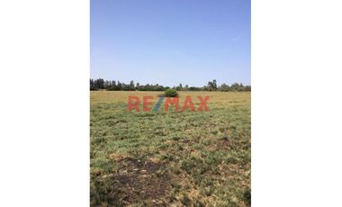 Se Vende Lindo Terreno En San Andres                                          Dos Hectareas                               Provincia De Pisco En Ica