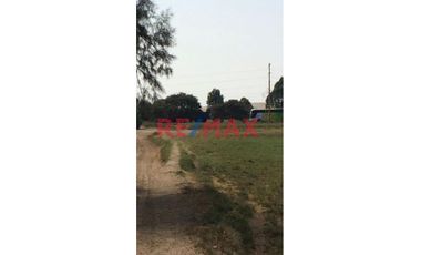 Se Vende Lindo Terreno En San Andres                                          Dos Hectareas                               Provincia De Pisco En Ica