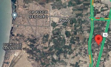 Se Vende Lindo Terreno En San Andres                                          Dos Hectareas                               Provincia De Pisco En Ica