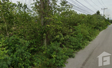 Land for sale in Na Yang, Phetchaburi