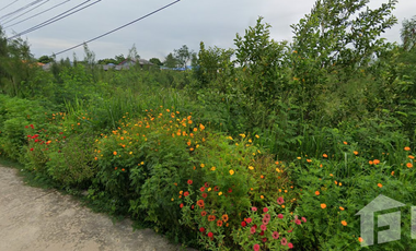 Land for sale in Na Yang, Phetchaburi