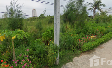 Land for sale in Na Yang, Phetchaburi