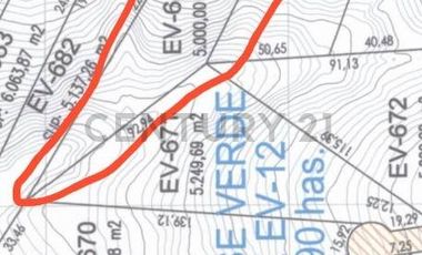 Se vende parcela de 5.000 m² en Comunidad Valle Verde Mar