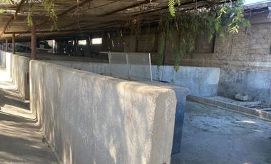 TERRENO EN RENTA MUY AMPLIO EN COACALCO CENTRO