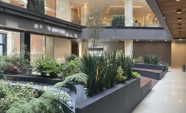 Consultorios en venta por Zona Hospitales Tlalpan