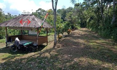 KAVLING KEBUN MANTAP UNTUK VILLA HARGA OKE