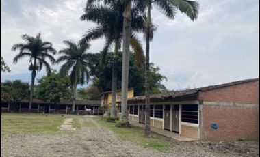 finca en venta en potrerito. Cod V4894