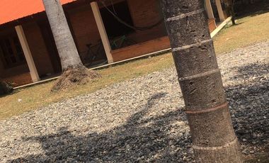 finca en venta en potrerito. Cod V4894