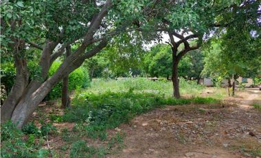 Lote en Venta cerca al aeropouerto Valledupar