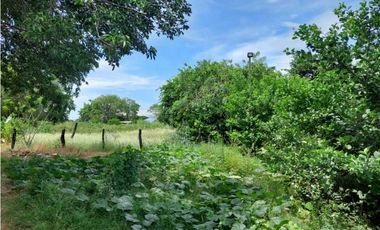 Lote en Venta cerca al aeropouerto Valledupar