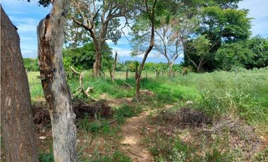 Lote en Venta cerca al aeropouerto Valledupar