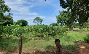 Lote en Venta cerca al aeropouerto Valledupar