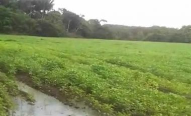Finca agro ganadera en Puerto Lleras Villavicencio tractorable
