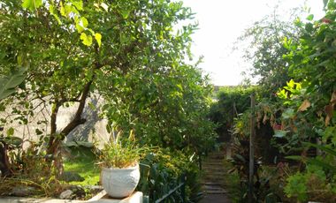 VENTA DE CASA MULTIFAMILIAR DE CUATRO AMB. Y FONDO LIBRE ZONA CHILAVERT