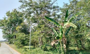 Kavling View Sawah, SHM Harga Promo