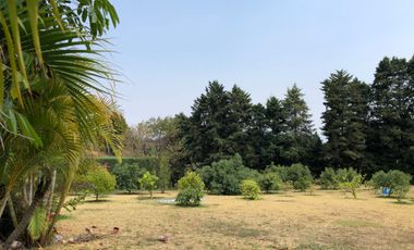 Terreno en venta con Arboles de  AGUACATE organico A 20 minutos de Col. del Bosque cuerna
