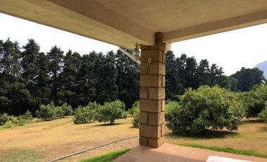 Terreno en venta con Arboles de  AGUACATE organico A 20 minutos de Col. del Bosque cuerna