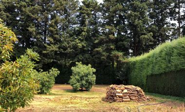 Terreno en venta con Arboles de  AGUACATE organico A 20 minutos de Col. del Bosque cuerna