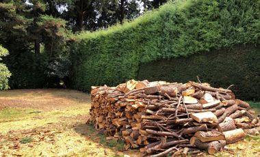Terreno en venta con Arboles de  AGUACATE organico A 20 minutos de Col. del Bosque cuerna