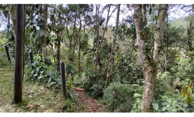 Venta de casa campestre independiente en El Retiro