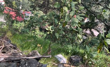 Terreno en venta en San Pedro Mártir, Tlalpan