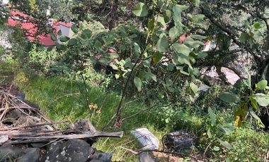 Terreno en venta en San Pedro Mártir, Tlalpan