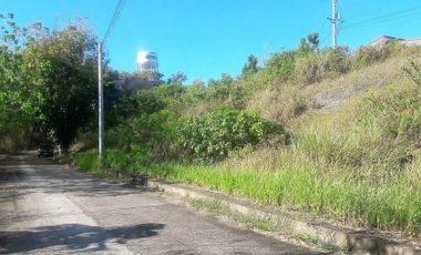 262 Sqm Elevated lot for Sale in Consolacion Cebu with view