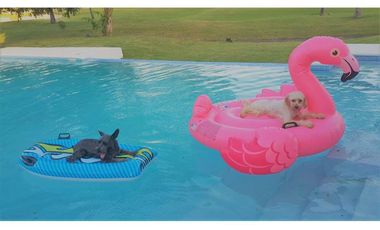 VISTA MAR GOLF, BEACH  MARINA, Casa en alquiler con piscina privada