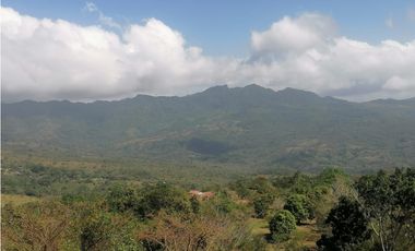 Se Vende Finca de 10 Has. en Sorá de Chame (H)