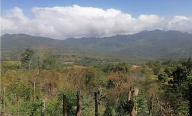 Se Vende Finca de 10 Has. en Sorá de Chame (H)