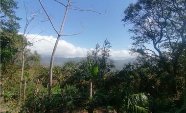 Se Vende Finca de 10 Has. en Sorá de Chame (H)