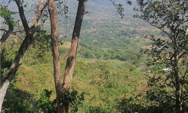 Se Vende Finca de 10 Has. en Sorá de Chame (H)