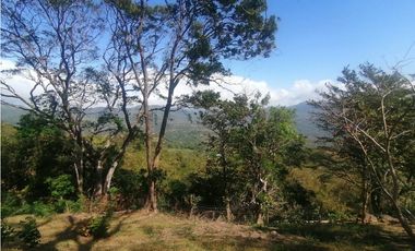 Se Vende Finca de 10 Has. en Sorá de Chame (H)