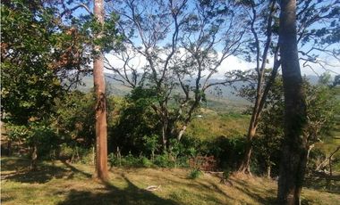 Se Vende Finca de 10 Has. en Sorá de Chame (H)