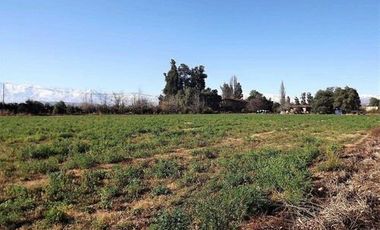 Agrícola en Venta en Espectacular terreno urbano comercial en San Felipe