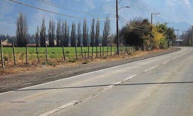 Agrícola en Venta en Espectacular terreno urbano comercial en San Felipe