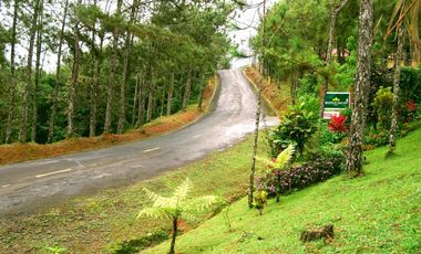 SE VENDE TERRENO DE 1,917 M2 EN EL VALLE DE CERRO AZUL
