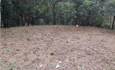 SE VENDE TERRENO DE 1,917 M2 EN EL VALLE DE CERRO AZUL