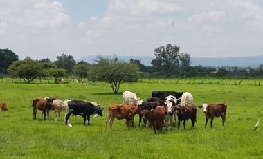 Preciosa Finca en Venta con todos Implementos y Maquinaria