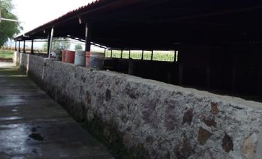Preciosa Finca en Venta con todos Implementos y Maquinaria