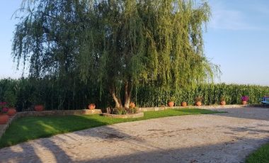 Preciosa Finca en Venta con todos Implementos y Maquinaria