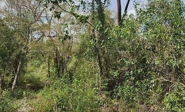 Terreno en Venta, excelente opción, 20 Has, Temozon, Yucatán.