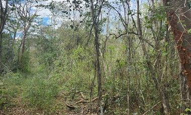 Terreno en Venta, excelente opción, 20 Has, Temozon, Yucatán.