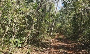 Terreno en Venta, excelente opción, 20 Has, Temozon, Yucatán.
