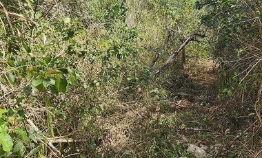 Terreno en Venta, excelente opción, 20 Has, Temozon, Yucatán.